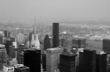 New York (16)